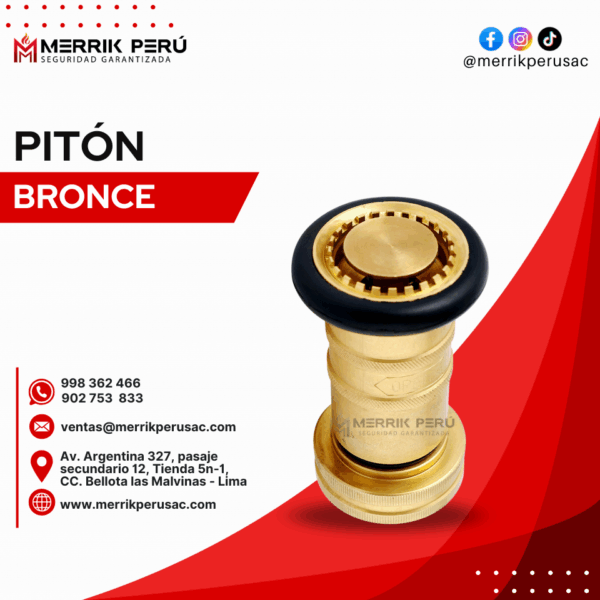Pitón de Bronce